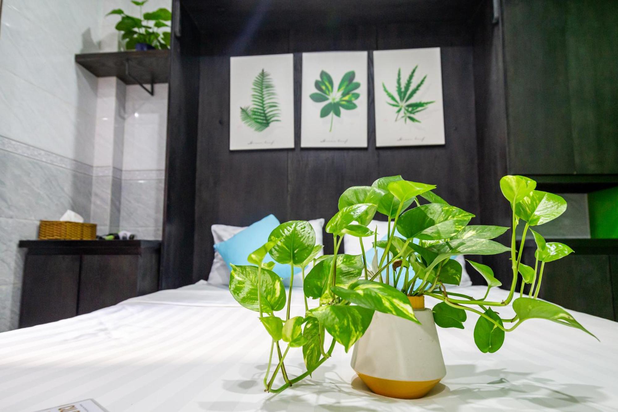 Cola'S Homestay Hô Chi Minh-Ville Extérieur photo